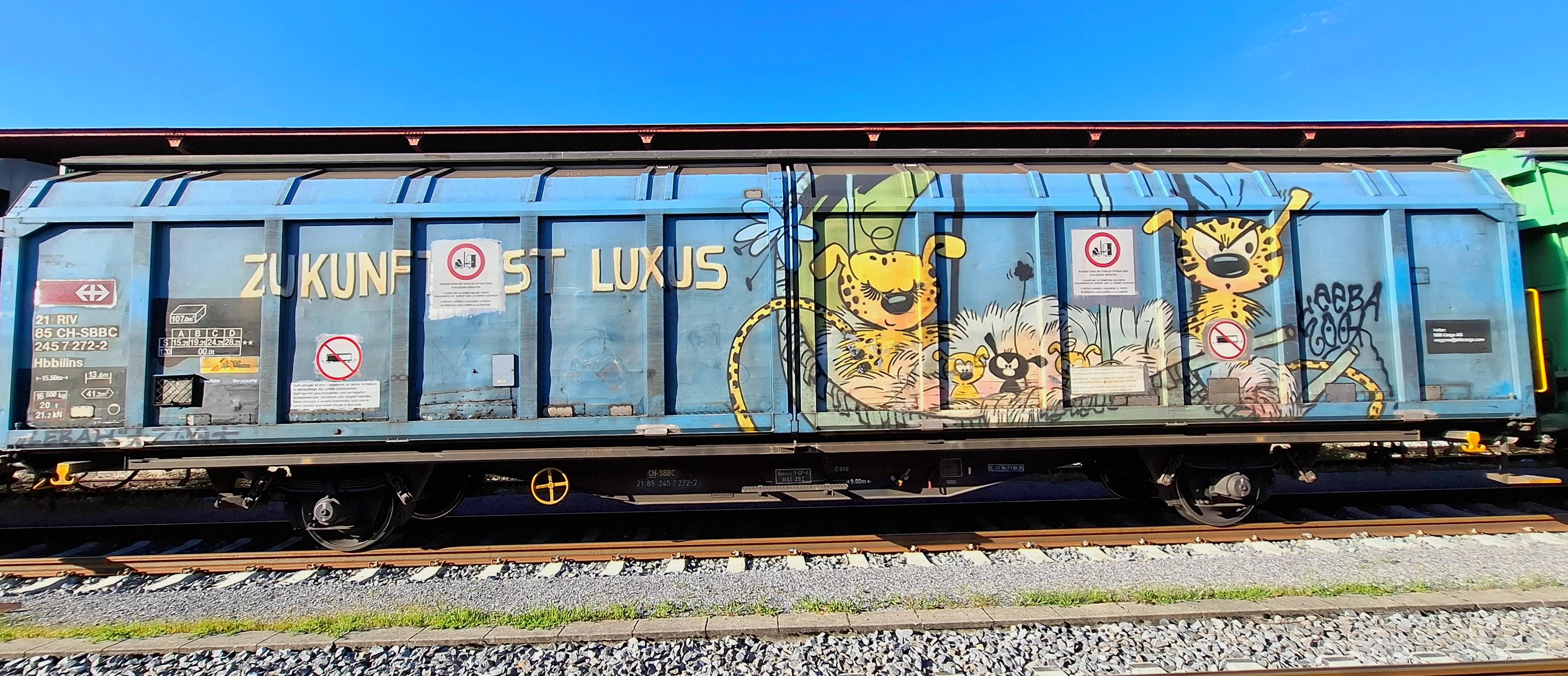 HBBLINS-2026 Graffiti